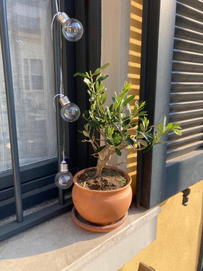 Appartamento Squisito In Stabile Vecchia *